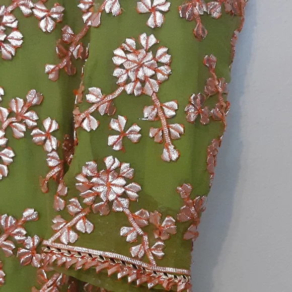 Indian/pakistani fancy dress NWOT - Picture 3 of 10